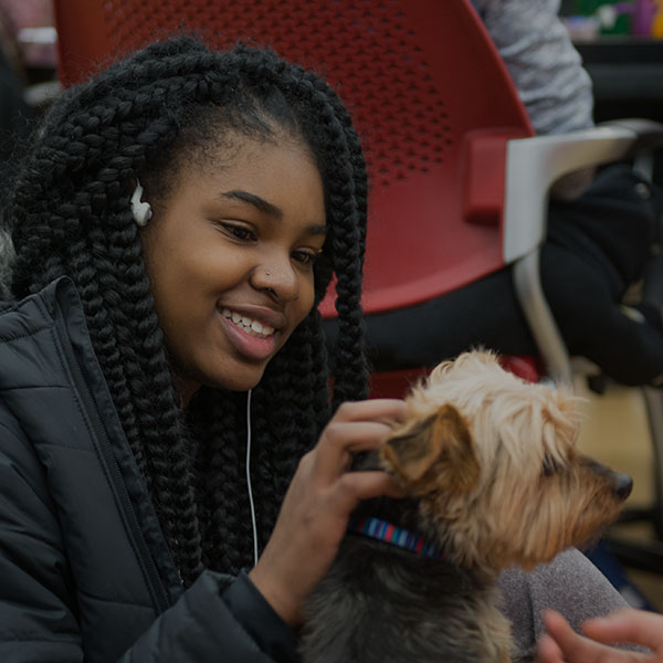 Student petting a therapy dog in the library.